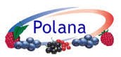 Polana